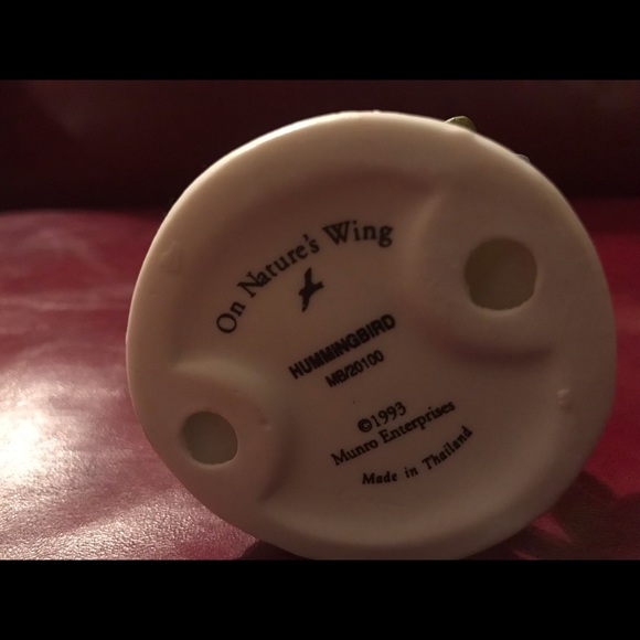 On Natures’s Wing Hummingbird on tree branch - Picture 4 of 4